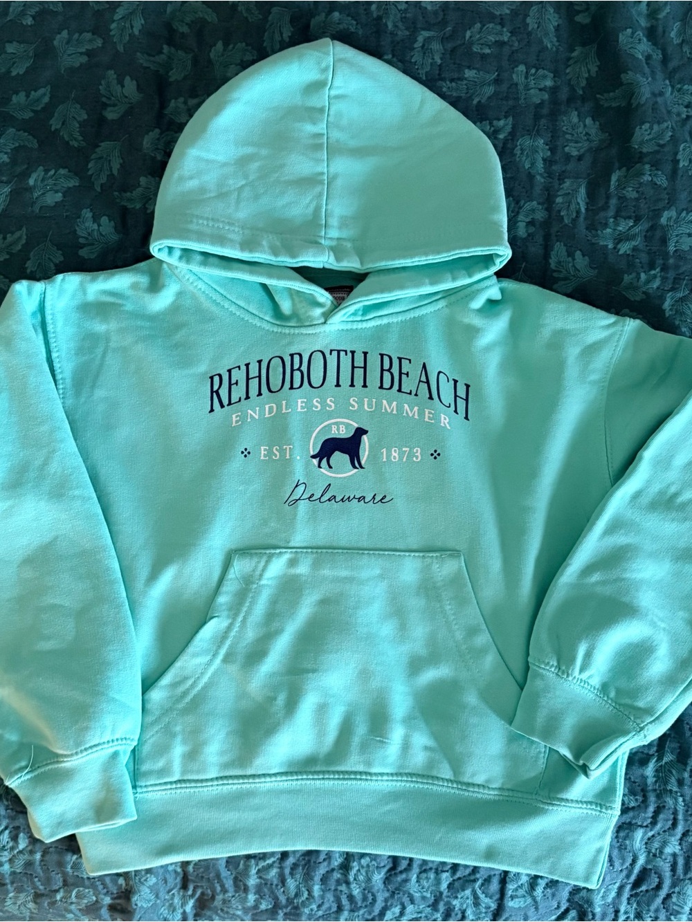 Pacific & Co. Kids Mint Green Rehoboth Beach, DE Pullover Hoodie Pockets, Small